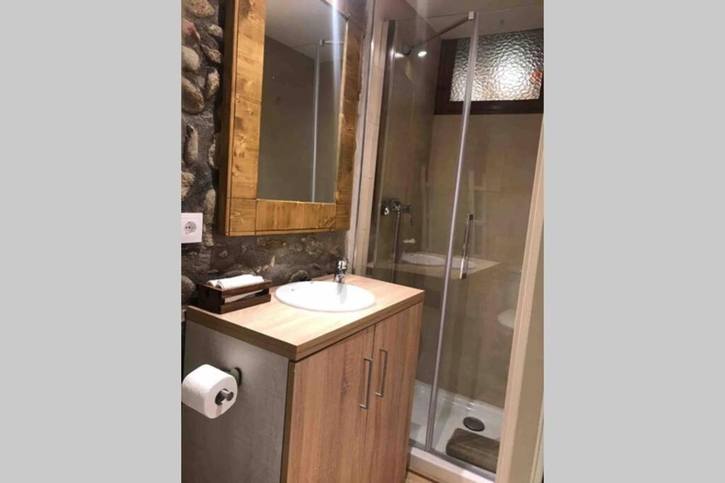 Puigcerda Centro. Acogedor Apartament En El Pueblo 외부 사진